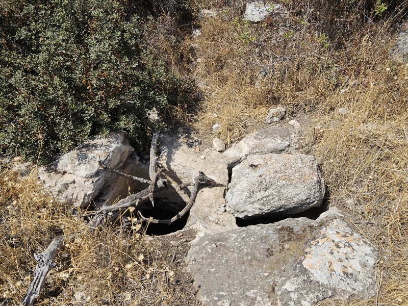 קובץ:2025-06-04T15 25 45.908869204955.jpg