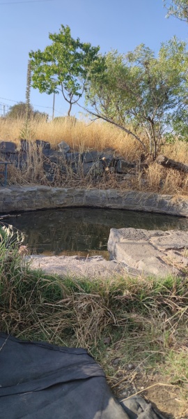 קובץ:2025-06-04T18 07 39.561080286125.jpg