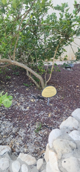 קובץ:2025-06-05T16 58 44.57146316649.jpg