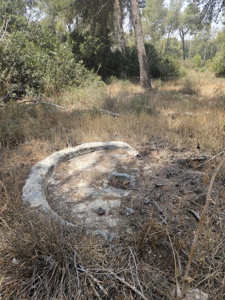 קובץ:2025-06-10T12 31 02.365664832607.jpg