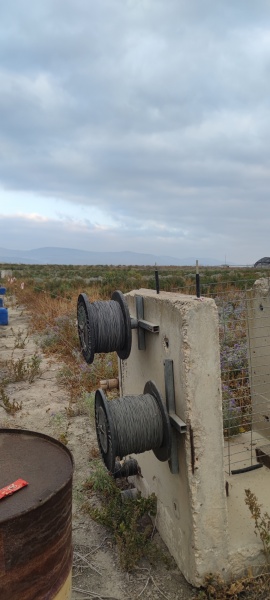 קובץ:2025-06-17T06 21 39.511390275737.jpg
