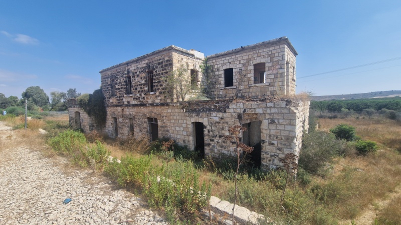 קובץ:2025-06-22T10 23 11.217462116127.jpg