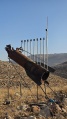 תמונה ממוזערת לגרסה מתאריך 14:48, 23 ביוני 2025