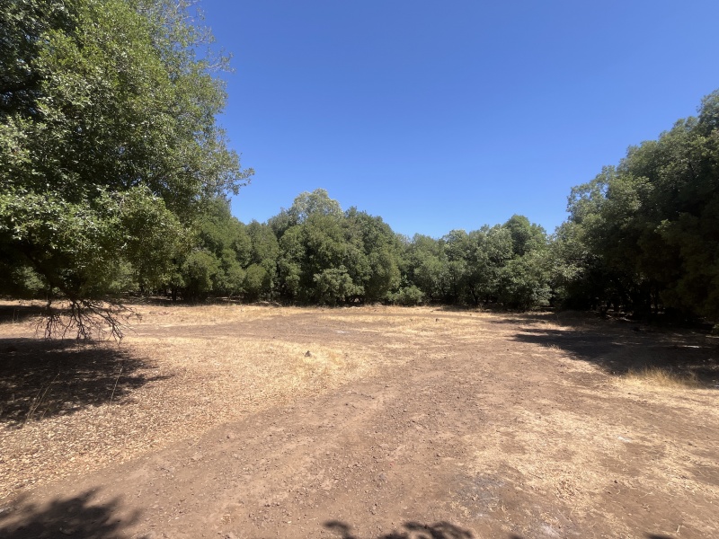 קובץ:2025-06-27T14 49 28.926598554940.jpg