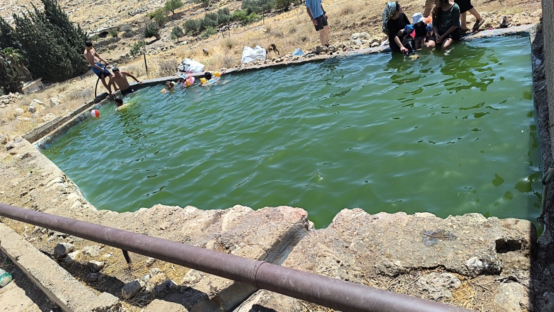 קובץ:2025-06-30T18 05 06.13544328844.jpg