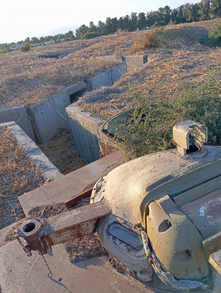קובץ:2025-07-08T19 07 41.695603888027.jpg