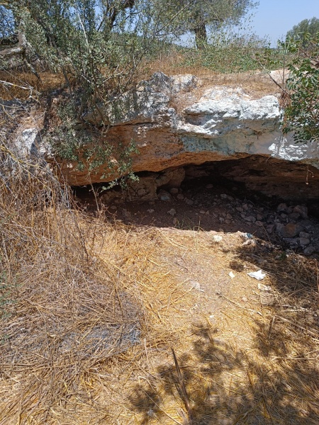 קובץ:2025-07-16T11 21 58.36074191911.jpg