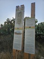 תמונה ממוזערת לגרסה מתאריך 03:44, 18 ביולי 2025