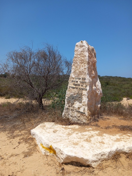 קובץ:2025-07-18T11 54 04.079601964430.jpg