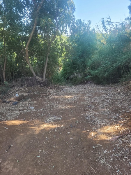 קובץ:2025-07-18T16 28 31.58129618773.jpg