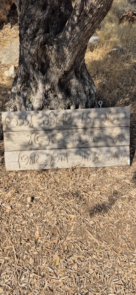 קובץ:2025-07-19T08 58 57.540613299222.jpg