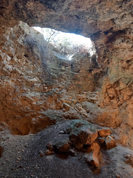 קובץ:2025-07-19T15 51 31.697181710276.jpg