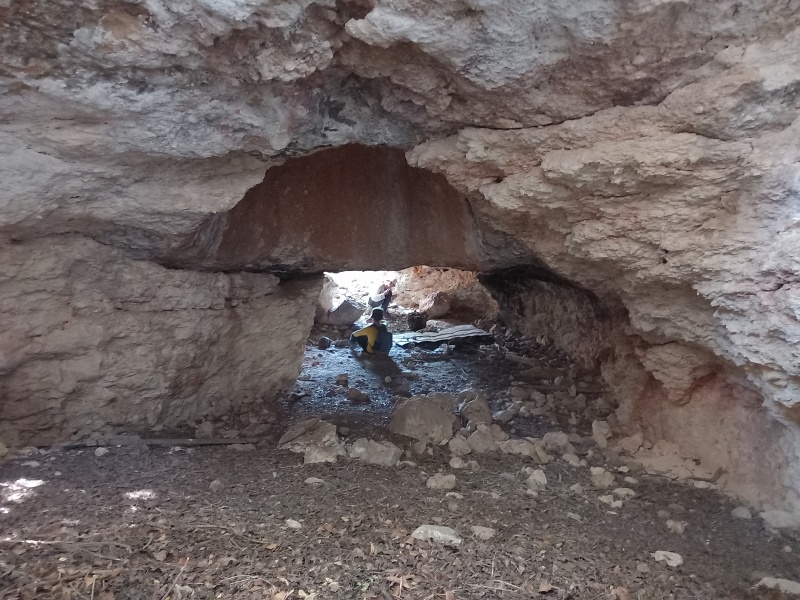 קובץ:2025-07-19T15 51 46.417095602639.jpg
