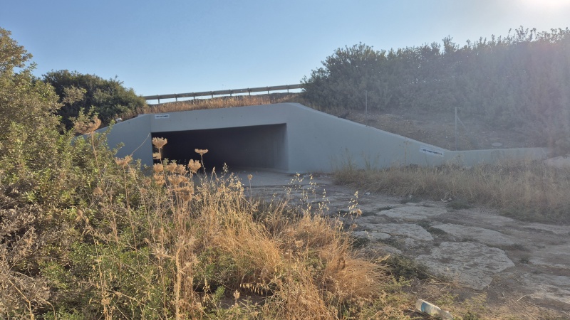 קובץ:2025-07-19T18 10 47.889475761105.jpg