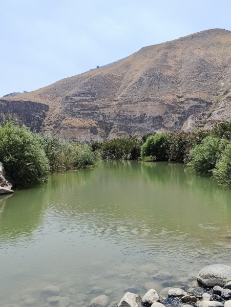 קובץ:2025-07-20T15 22 57.169662801668.jpg