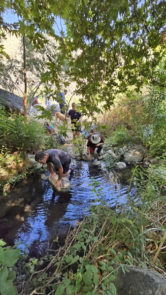 קובץ:2025-07-24T16 29 15.715703921301.jpg