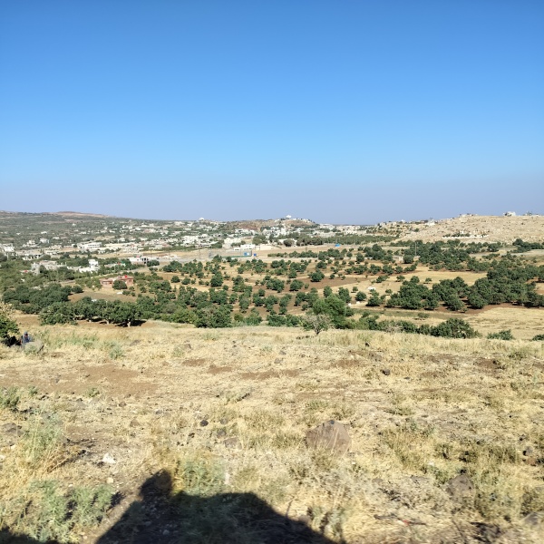 קובץ:2025-07-24T20 27 01.631239797401.jpg