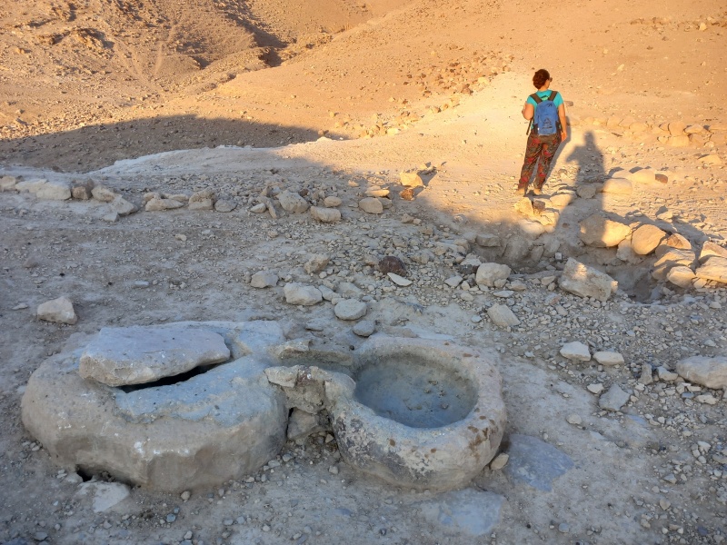 קובץ:2025-07-25T06 37 59.051380634221.jpg