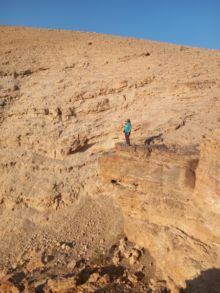 קובץ:2025-07-25T07 09 33.726471486340.jpg