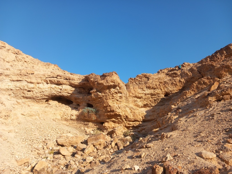 קובץ:2025-07-25T07 09 50.115596776337.jpg