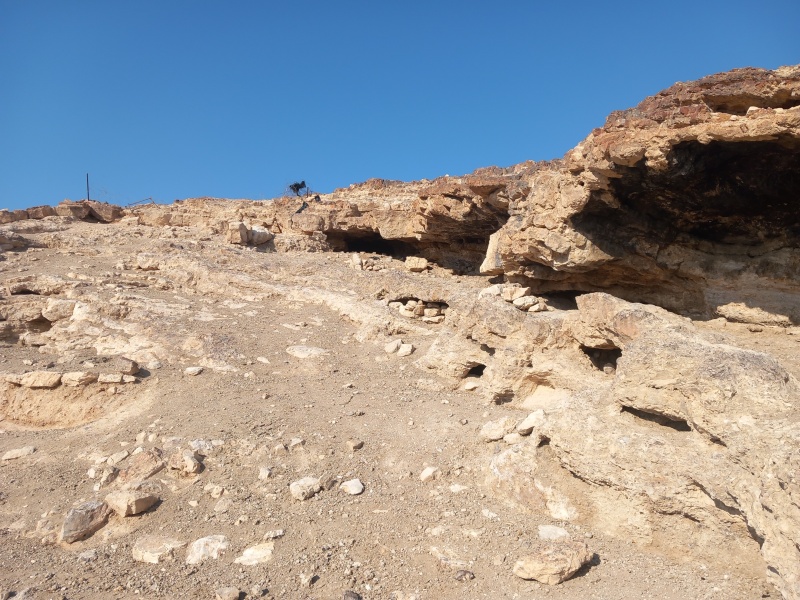 קובץ:2025-07-25T08 02 17.203886515503.jpg