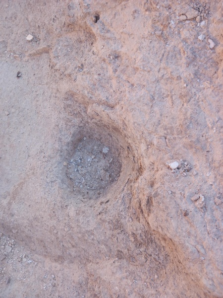 קובץ:2025-07-26T07 35 04.788451245884.jpg