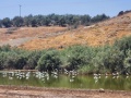 תמונה ממוזערת לגרסה מתאריך 09:05, 26 ביולי 2025