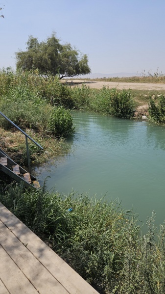 קובץ:2025-07-26T14 26 02.28512744004.jpg