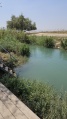 תמונה ממוזערת לגרסה מתאריך 11:00, 26 ביולי 2025