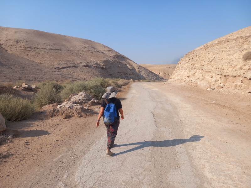 קובץ:2025-07-26T17 22 17.238832915995.jpg