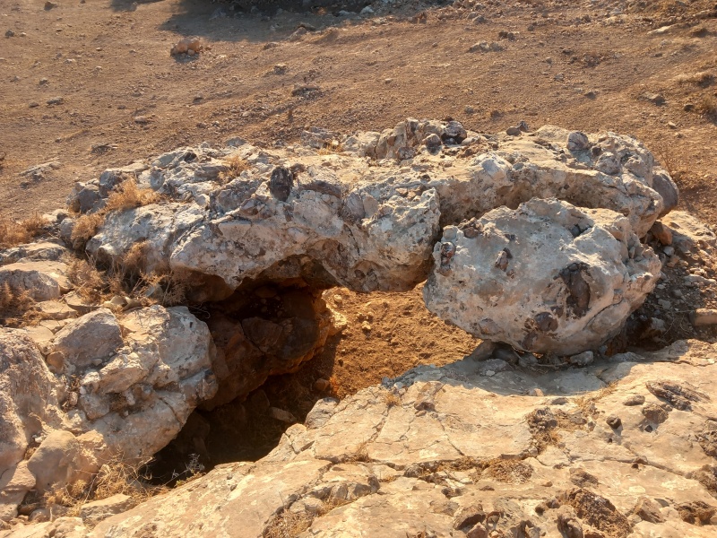 קובץ:2025-07-27T06 44 40.228797792520.jpg