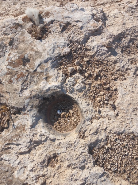 קובץ:2025-07-27T08 18 23.482969958146.jpg