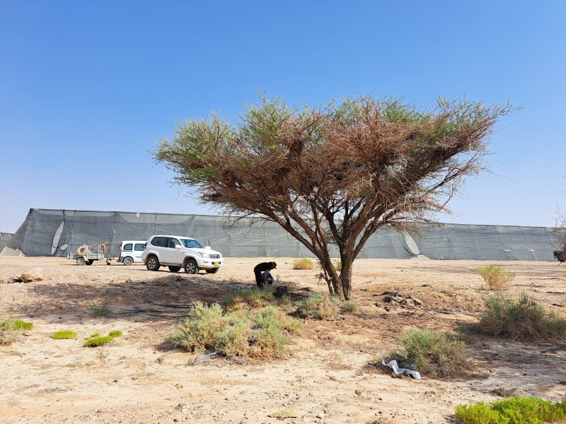 קובץ:2025-07-30T09 14 13.049787912706.jpg