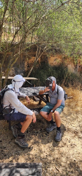 קובץ:2025-07-30T11 14 06.269112448624.jpg