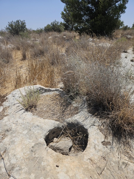 קובץ:2025-07-30T13 46 28.898357845567.jpg