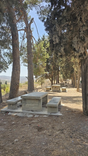 קובץ:2025-07-30T14 30 01.49976766394.jpg
