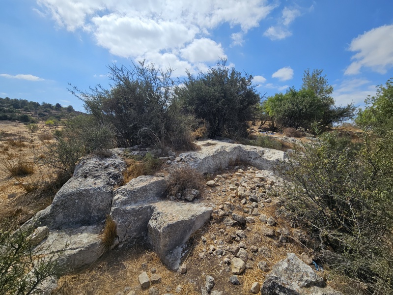 קובץ:2025-07-31T10 31 50.279324976914.jpg