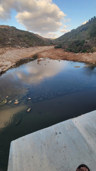 קובץ:2025-07-31T18 44 37.808270400449.jpg