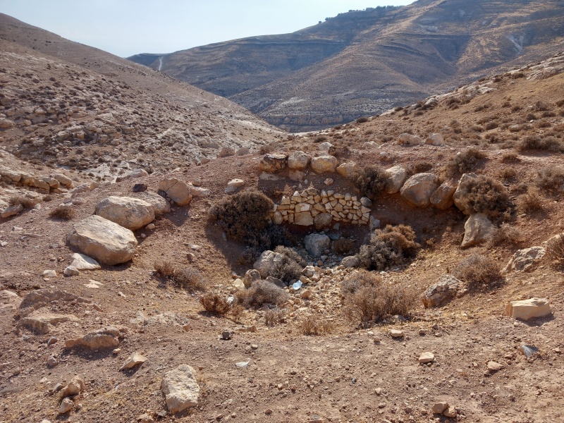 קובץ:2025-08-04T08 27 37.204323960941.jpg