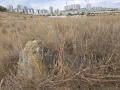 תמונה ממוזערת לגרסה מתאריך 10:02, 5 באוגוסט 2025