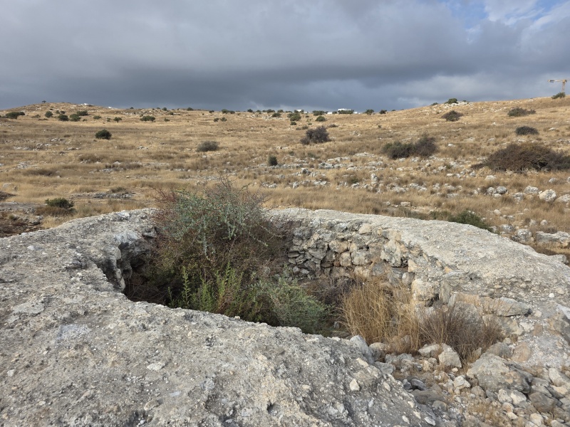 קובץ:2025-08-05T08 13 34.490332785823.jpg