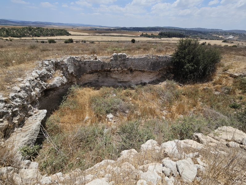 קובץ:2025-08-05T13 19 47.069392301335.jpg