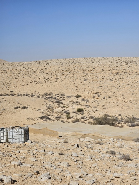 קובץ:2025-08-07T09 17 30.373766218723.jpg