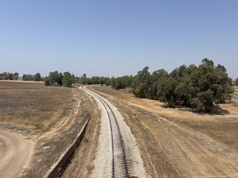 קובץ:2025-08-08T13 52 00.68180621017.jpg