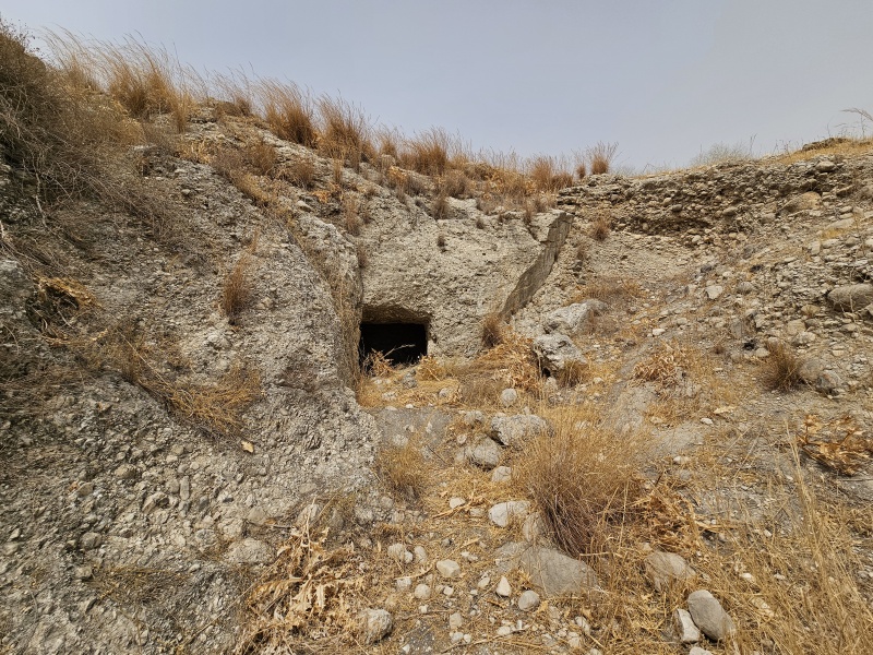 קובץ:2025-08-11T11 28 24.341601136627.jpg