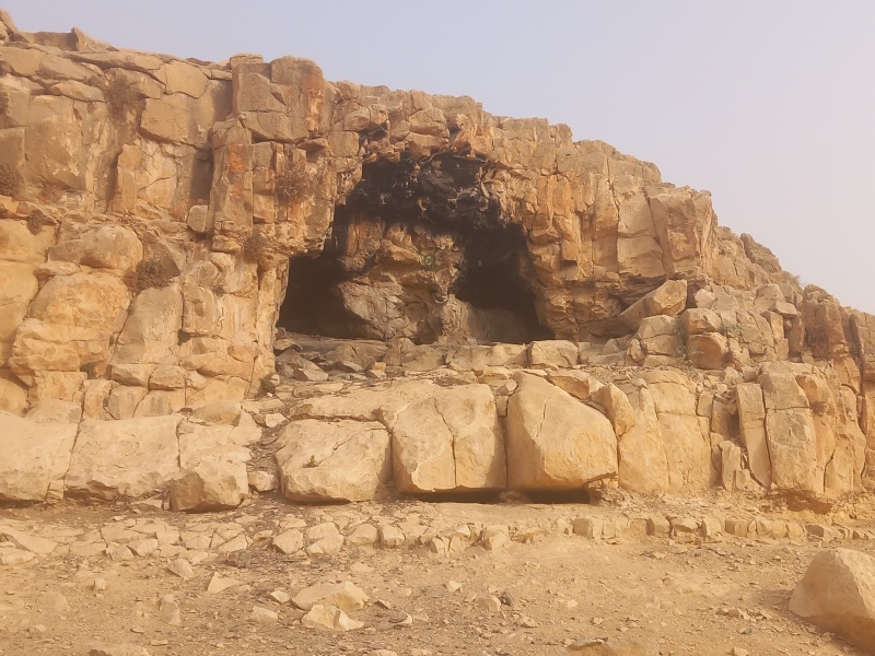 קובץ:2025-08-12T08 14 19.667210224043.jpg