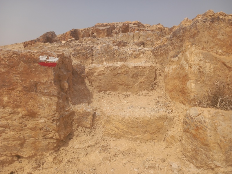 קובץ:2025-08-12T09 36 11.81407391380.jpg