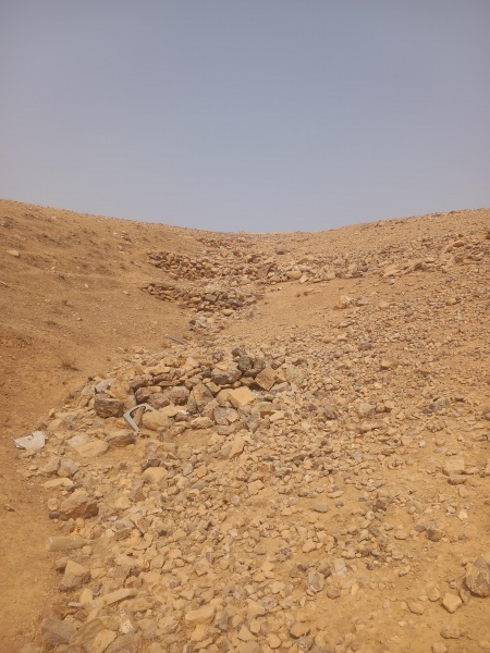 קובץ:2025-08-12T09 52 07.82496720483.jpg