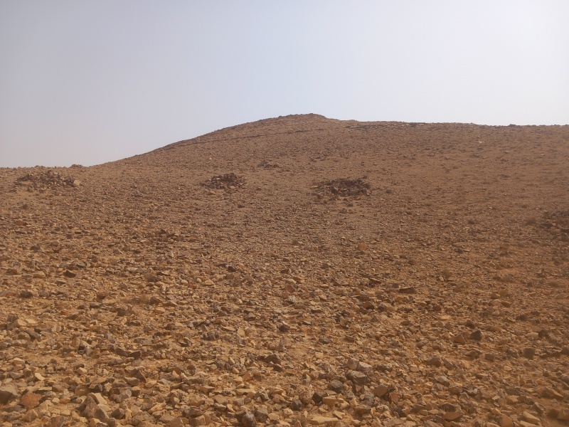 קובץ:2025-08-12T10 03 41.432136692389.jpg