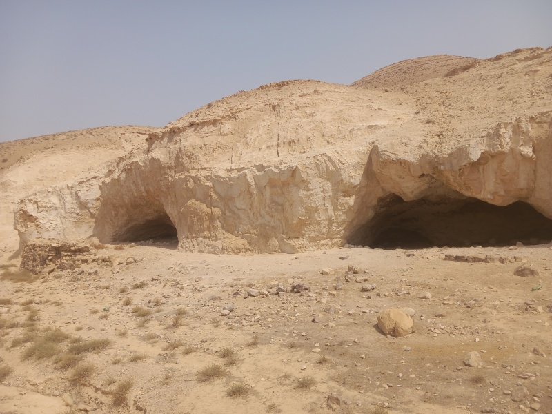 קובץ:2025-08-12T10 41 13.691352173771.jpg